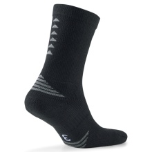 Puma Sport Sock Team Indoor SMU Germany black - 1 pair