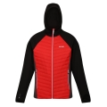 Regatta Hybrid Jacket Andreson VII (water-repellent, insulated) red/black Men