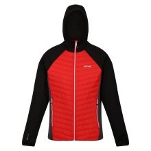 Regatta Hybrid Jacket Andreson VII (water-repellent, insulated) red/black Men