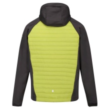 Regatta Hybrid Jacket Andreson VII (water-repellent, insulated) green Men