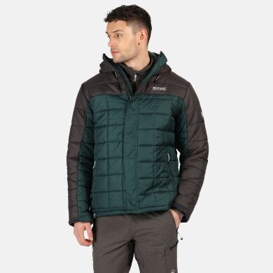 Regatta Winter Jacket Nevado IV pine Men