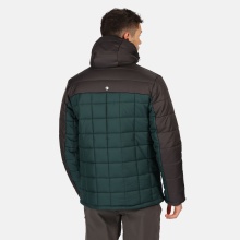 Regatta Winter Jacket Nevado IV pine Men