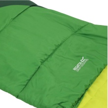 Regatta Sleeping Bag Hilo V2 250 (Summer Sleeping Bag, Durable and Lightweight) Green 220x80cm