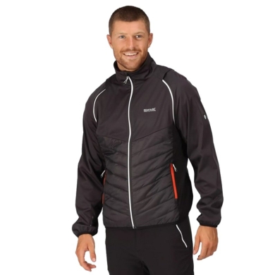 Regatta Softshell Jacket and Vest Steren (windproof, water-repellent) dark grey Men