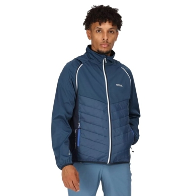 Regatta Softshell Jacket and Vest Steren (windproof, water-repellent) blue Men