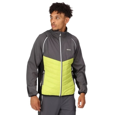 Regatta Softshell Jacket and Vest Steren (windproof, water-repellent) grey/lime Men