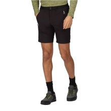 Regatta Hiking Shorts Bermuda Xert III (water-repellent and quick-drying) short black Men