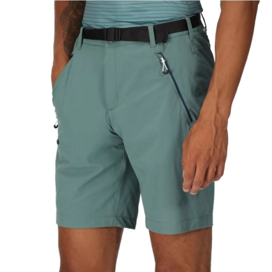 Regatta Hiking Shorts Bermuda Xert III (water-repellent and quick-drying) short blue-green Men