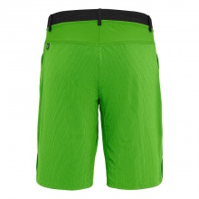 Salewa Trekking-Hiking Shorts Puez 3 DST Outdoor (windproof and water-repellent) short green Men