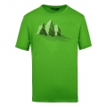 Salewa Tshirt Graphic Dry green Men