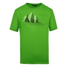 Salewa Tshirt Graphic Dry green Men