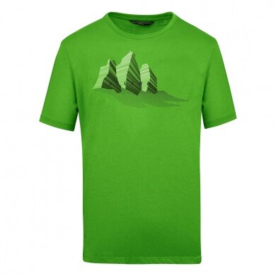 Salewa Tshirt Graphic Dry green Men