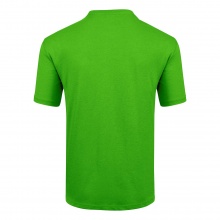 Salewa Tshirt Graphic Dry green Men