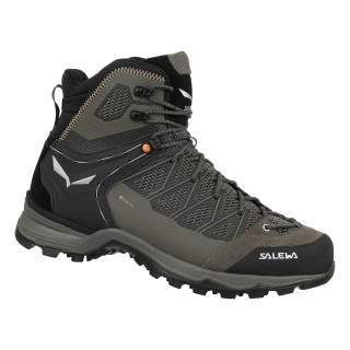 Salewa Hiking Shoes Mtn Trainer Lite Mid GTX (Trekking, waterproof) brown Trekking-Men