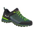 Salewa Hiking Shoes Mtn Trainer Lite GTX (Approach, Waterproof) Green Men