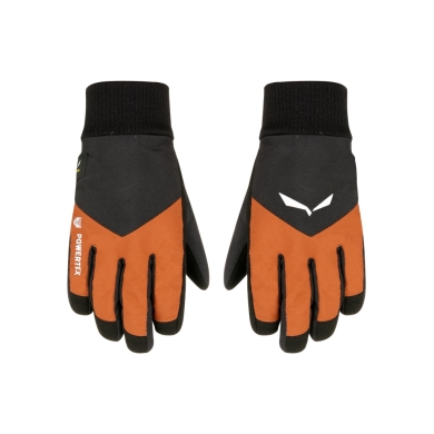 Salewa Winter Gloves Kids PTX/TWR (waterproof and breathable) black/brown Children