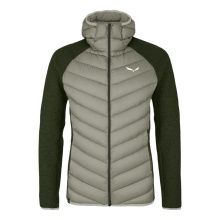 Salewa Insulated Winter Jacket Fanes Sarner (Down, Sarner Wool) Light Green/Olive Green Men's