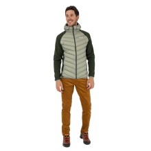 Salewa Insulated Winter Jacket Fanes Sarner (Down, Sarner Wool) Light Green/Olive Green Men's