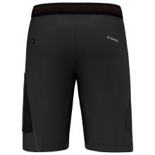 Salewa Hiking Shorts Short Pedroc Cargo 3 DST Outdoor (water-repellent, lightweight) short black Men