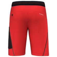 Salewa hiking shorts Short Pedroc Cargo 3 DST Outdoor (water-repellent, lightweight) short red Men