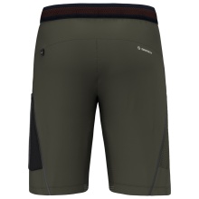 Salewa Hiking Shorts Pedroc Cargo 3 DST Outdoor (water-repellent, lightweight) short olive green Men