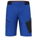 Salewa hiking shorts Pedroc Cargo 3 DST Outdoor (water-repellent, lightweight) short electric blue Men