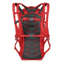 Salewa Hiking Backpack Ultra Train (Dry Back Contact System) Flame Red - 22 Litres