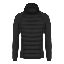 Salewa Isolation Winter Jacket Fanes Sarner (Down, Sarner Wool) black Men