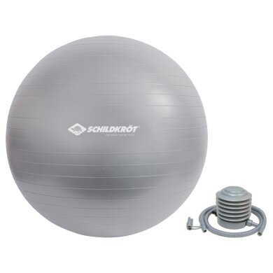 Schildkröt Fitness Exercise Ball 65cm (phthalate-free, with ball pump) silver grey