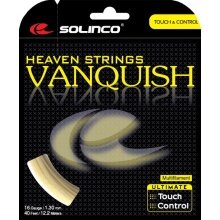 Solinco Tennis String Vanquish (Feel+Arm Protection) natural 12m Set