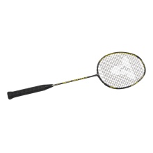 Talbot Torro Badminton racket IsoForce 651 (91g/balanced/medium) - strung -