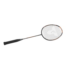 Talbot Torro Badminton racket Arrowspeed 399 (84g/balanced/medium) - strung -