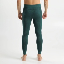 UYN Functional Underpants Fusyon Biotech Pant (Merino wool, ideal thermoregulation) green Men