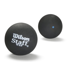 Wilson Squashball Staff (blue dot, Speed fast) black <b> - 12 balls in the box</b>