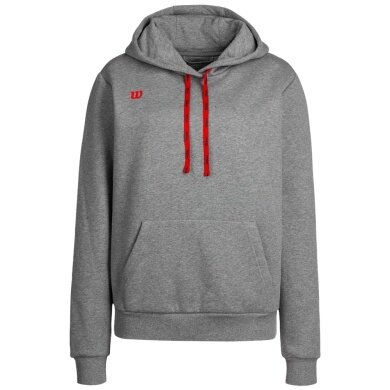 Wilson Fundamentals Cotton Hoodie with Hood (Cotton) grey Men's