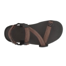 Xero Shoes Z-Trail EV Sandal Brown Men's