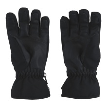 Ziener Gordanus AS® Winter Gloves Ski Alpine (windproof, waterproof) black/graphite men's - 1 pair