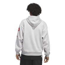 adidas D.O.N. Select Hoodie (Cotton Blend) grey Men's