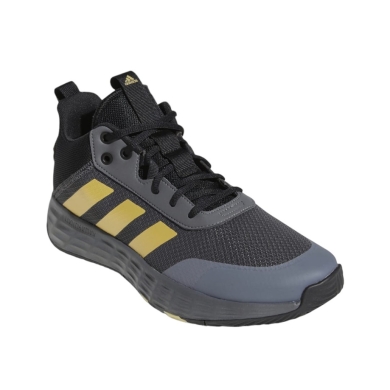 adidas Indoor Court Shoes Ownthegame 2.0 graphite grey/gold/black Men's