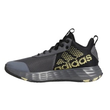 adidas Indoor Court Shoes Ownthegame 2.0 graphite grey/gold/black Men's