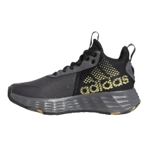 adidas Indoor Court Shoes Ownthegame 2.0 graphite grey/gold/black Kids