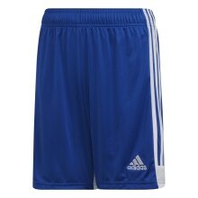 adidas Tastigo 19 Sports Shorts (Football, moisture-wicking) short blue boys