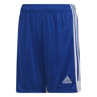 adidas Tastigo 19 Sports Shorts (Football, moisture-wicking) short blue boys