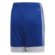 adidas Tastigo 19 Sports Shorts (Football, moisture-wicking) short blue boys