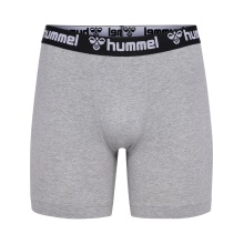 hummel Underwear Boxer Shorts hmlBoxer (Cotton) grey Men - 2 Pack