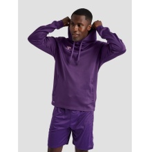 hummel Sport Hoodie hmlCORE XK Poly Sweat Hoodie (Polyester Sweat Fabric) with Hood Purple Men