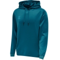 hummel Sport Hoodie hmlCORE XK Poly Sweat Hoodie (Polyester Sweat Fabric) with Hood in Coral Blue for Men