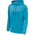 hummel Sport Hoodie hmlCORE XK Poly Sweat Hoodie (Polyester Sweat Fabric) with Hood Blue Men