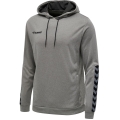 hummel Sport Hoodie hmlAUTHENTIC Poly Hoodie (knitted polyester) with hood grey Men