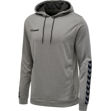 hummel Sport Hoodie hmlAUTHENTIC Poly Hoodie (knitted polyester) with hood grey Men